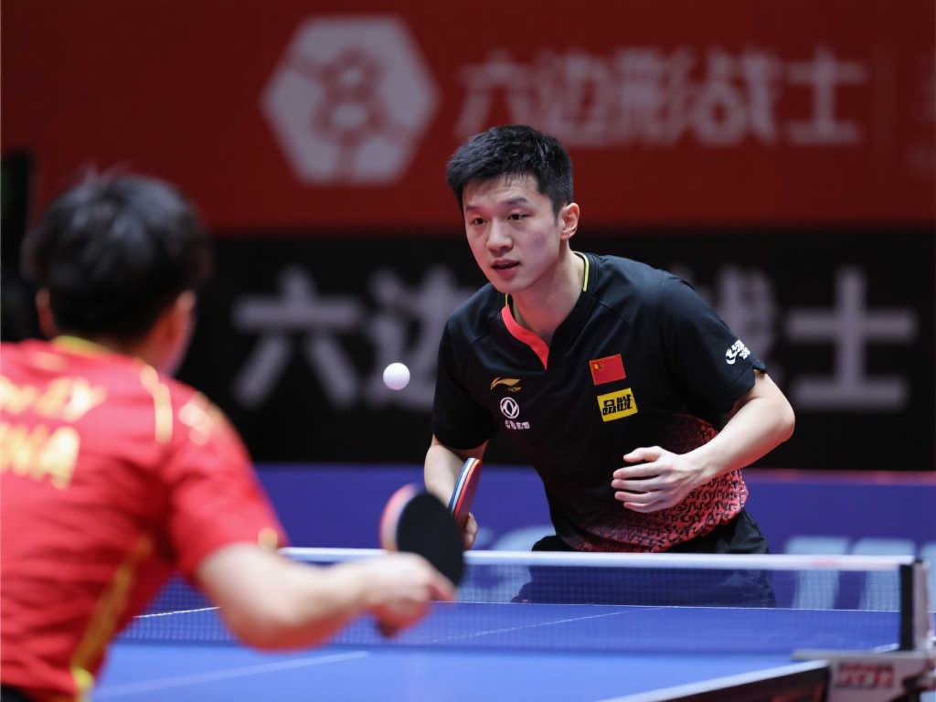 虎在未來的 虎在未來的