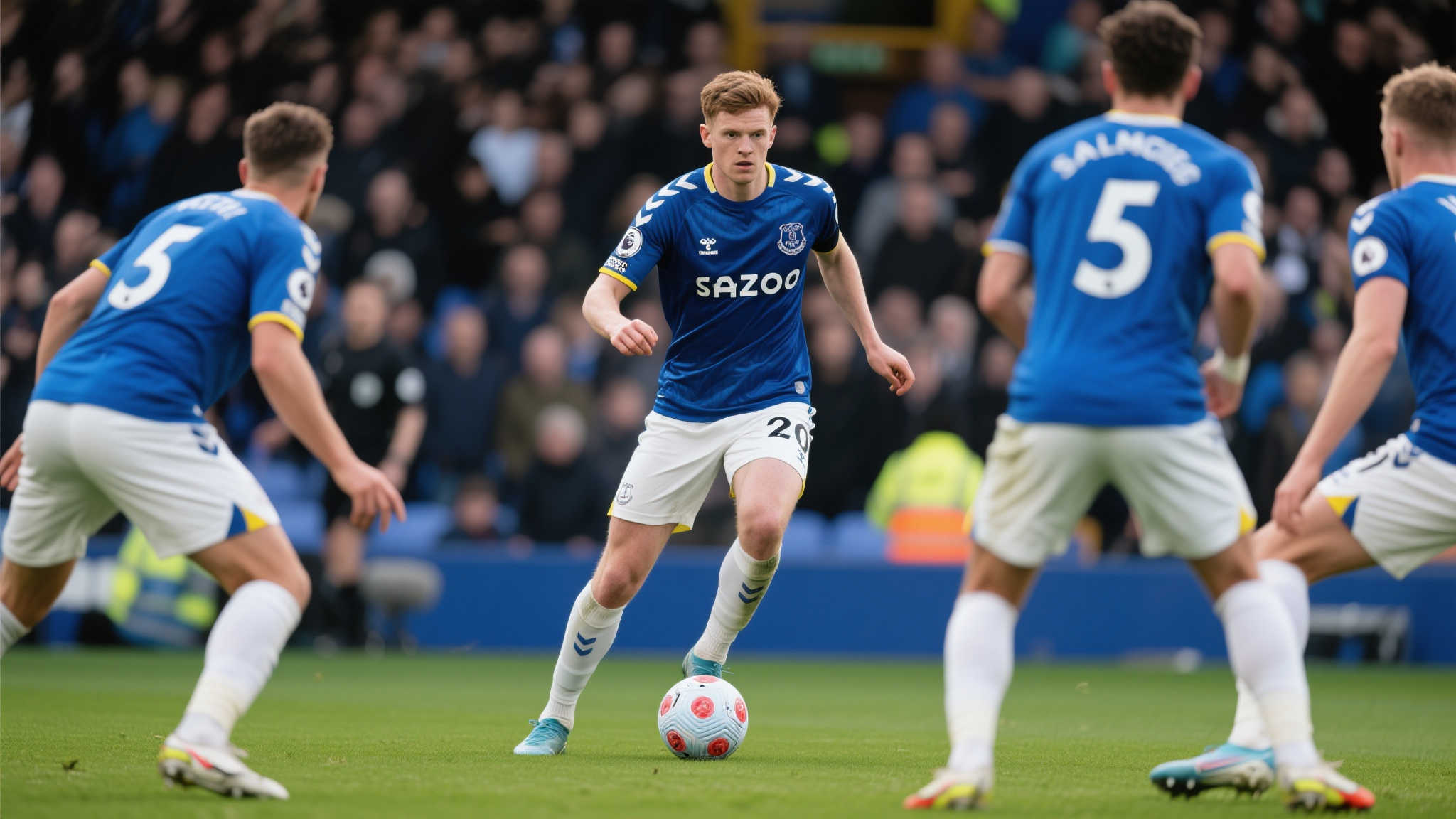 法比奥对此 法比奥对此