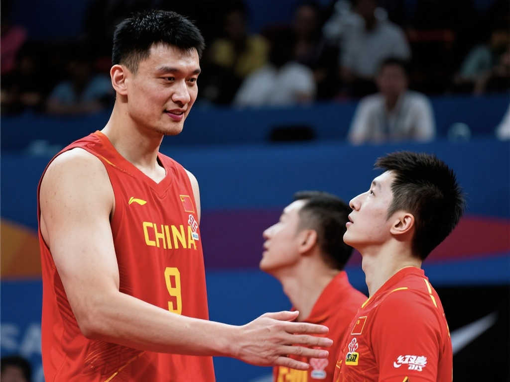 从而导致了 从而导致了